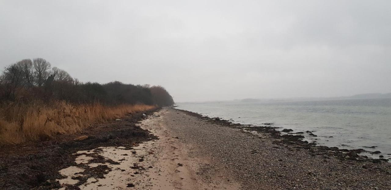 Gemuetliche Ferienunterkunft Direkt Am Meer Holnis Zewnętrze zdjęcie